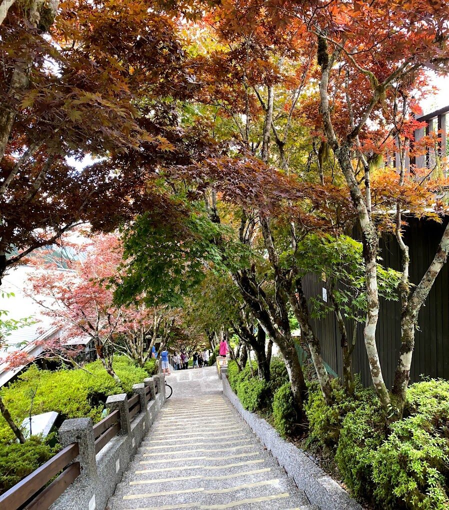 太平山茂興懷舊步道探險