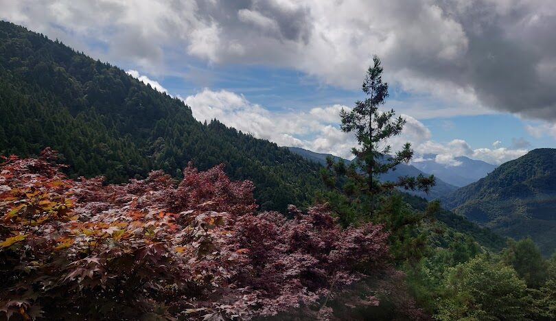 太平山賞楓最佳時節