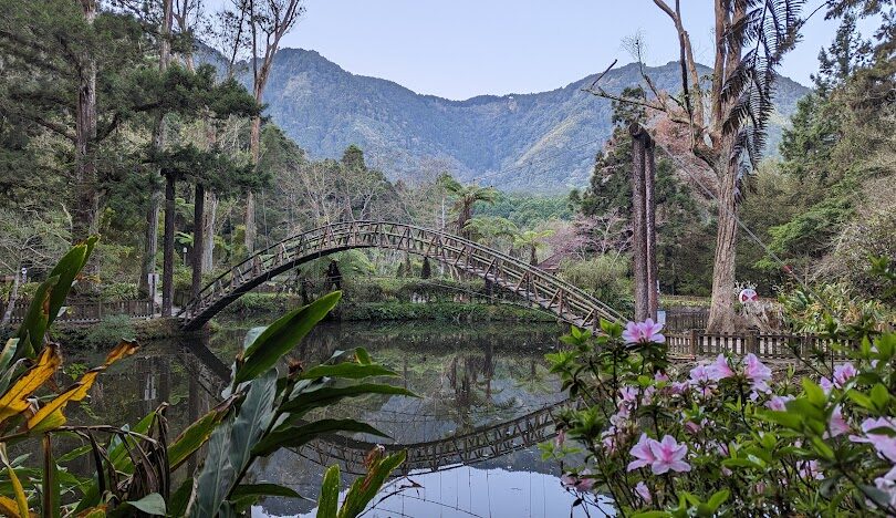溪頭一日遊行程推薦：必訪景點與美食攻略