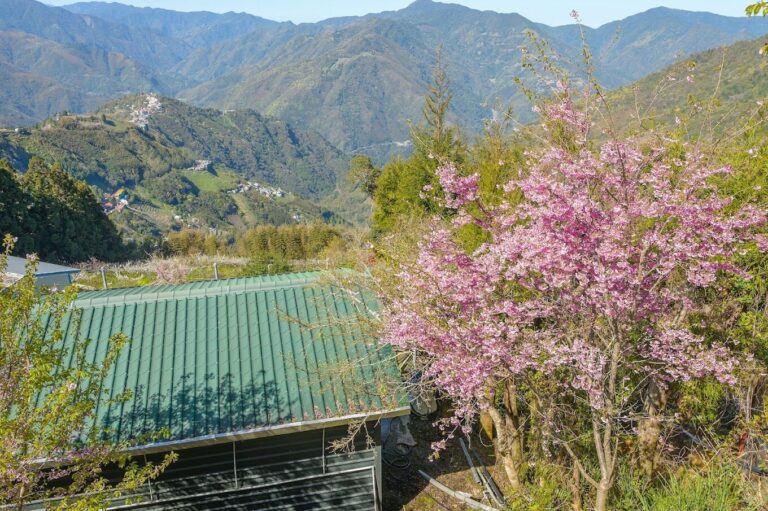 桃園親子農場推薦：適合全家同樂的好去處