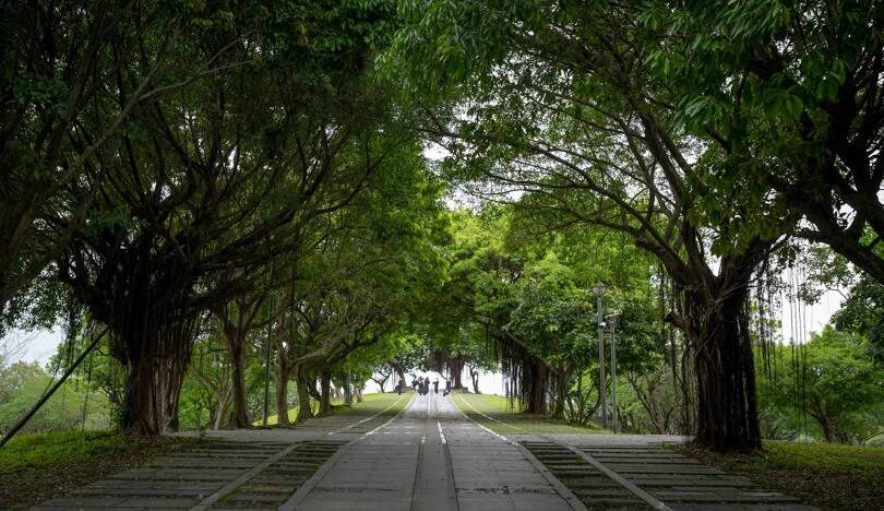 羅東夜市周邊景點一日遊攻略