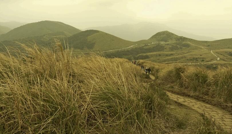 陽明山國家公園全攻略：徒步路線與注意事項