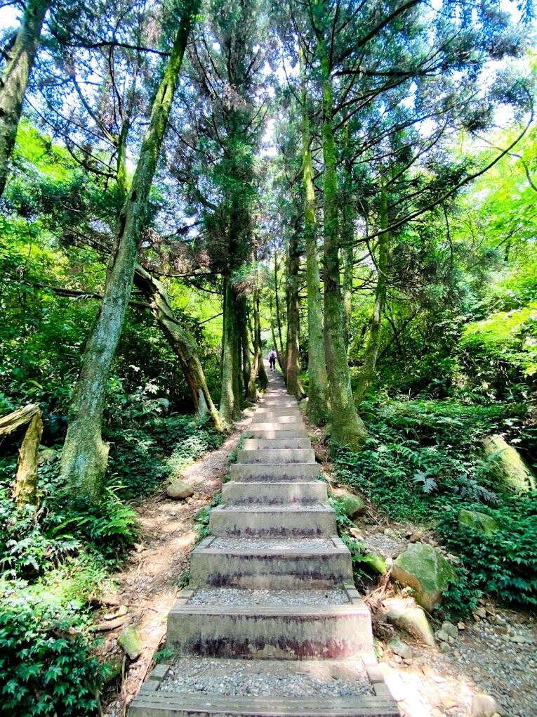 陽明山必訪景點推薦：探索台北的自然美景