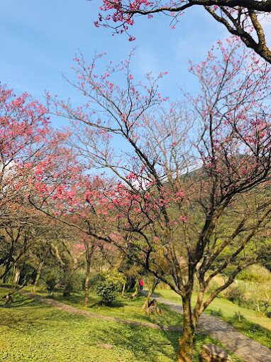 陽明山必訪景點推薦：探索台北的自然美景