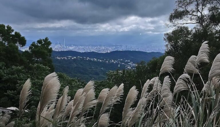 陽明山夜景拍攝指南：最佳觀賞點與攝影技巧