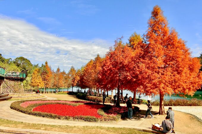 日月潭四季活動推薦：春夏秋冬必玩攻略