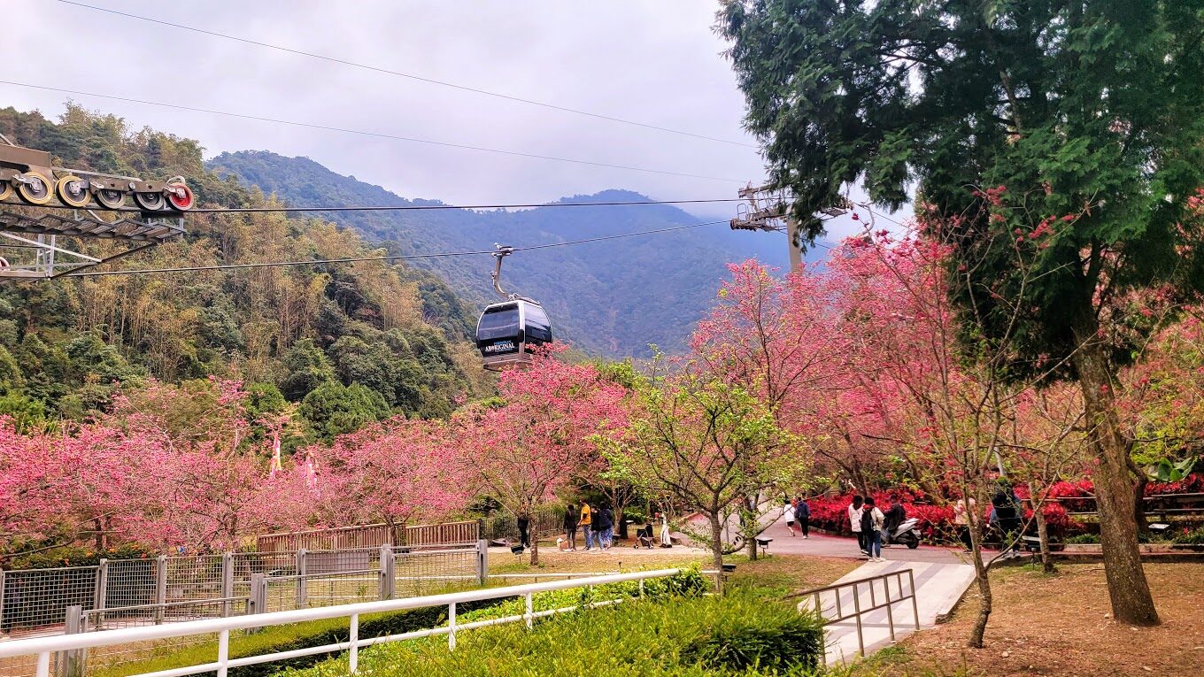 日月潭四季活動推薦：春夏秋冬必玩攻略