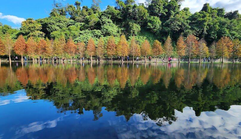 桃園大溪月眉人工濕地生態公園交通指南