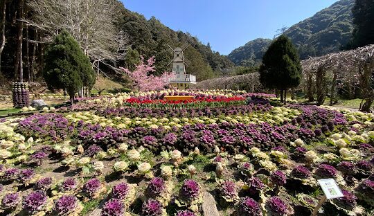 杉林溪旅遊攻略：必訪景點與行程推薦