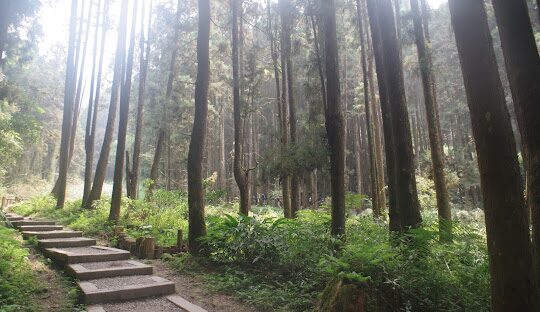 杉林溪旅遊攻略：必訪景點與行程推薦