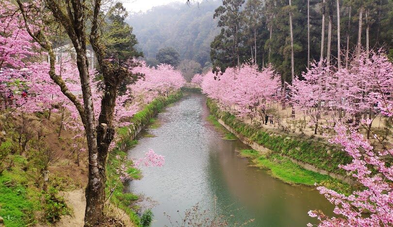 杉林溪旅遊攻略：必訪景點與行程推薦