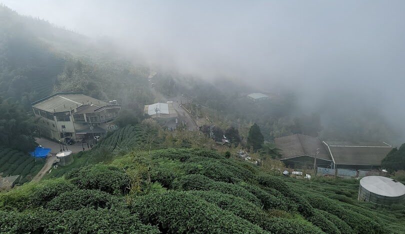 鹿谷鄉隱藏景點探索:發現不為人知的美麗角落