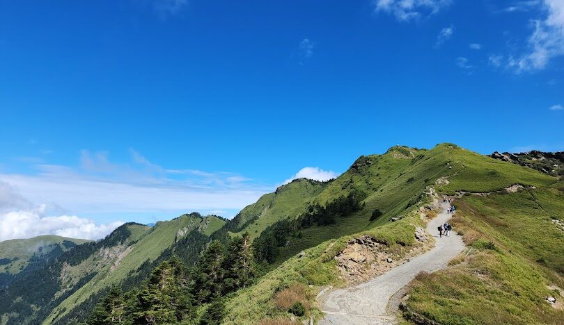 合歡山步道攻略：新手必看的五大步道難易度分析
