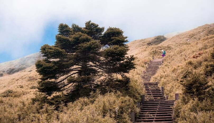 合歡山步道攻略：新手必看的五大步道難易度分析