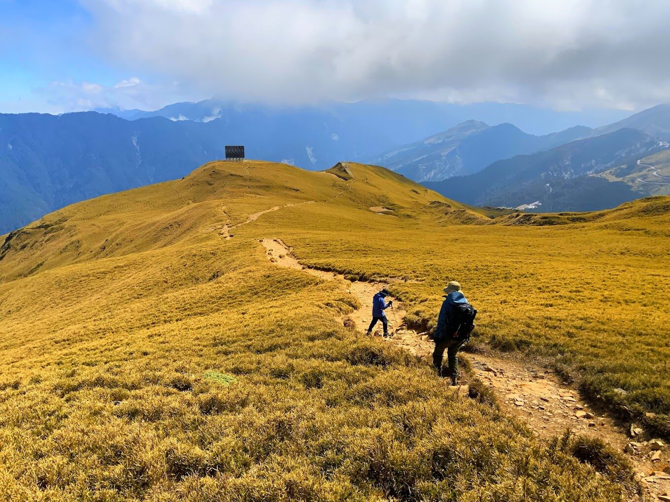 合歡山步道攻略：新手必看的五大步道難易度分析