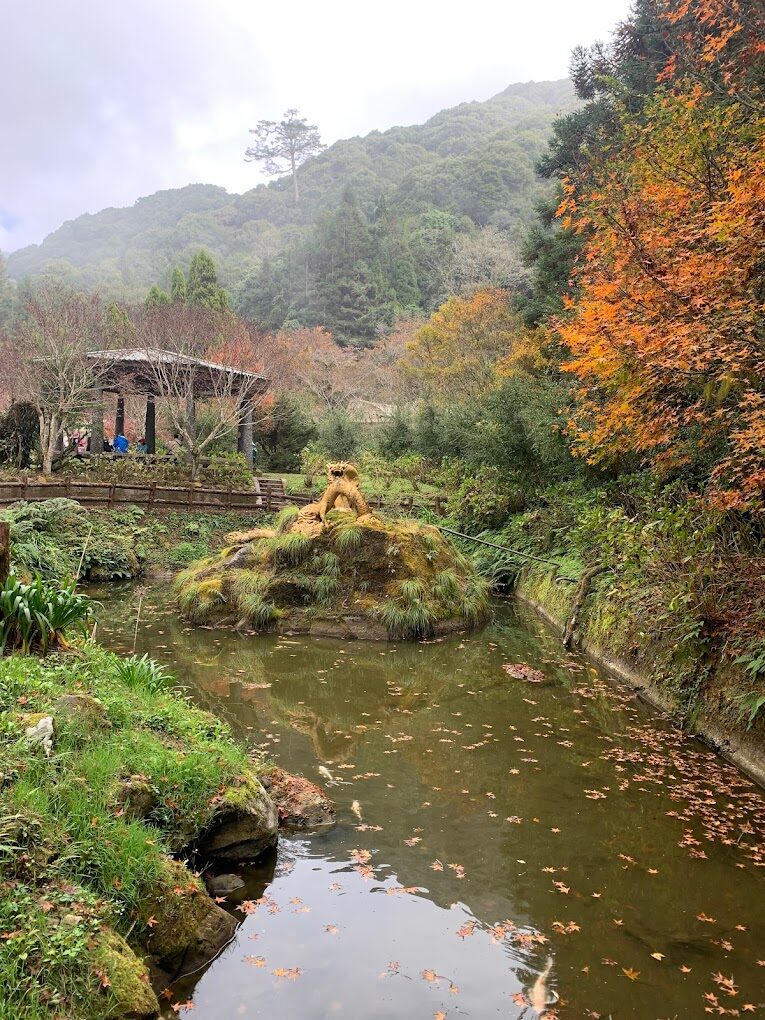 杉林溪花季時間表:最佳賞花時節指南