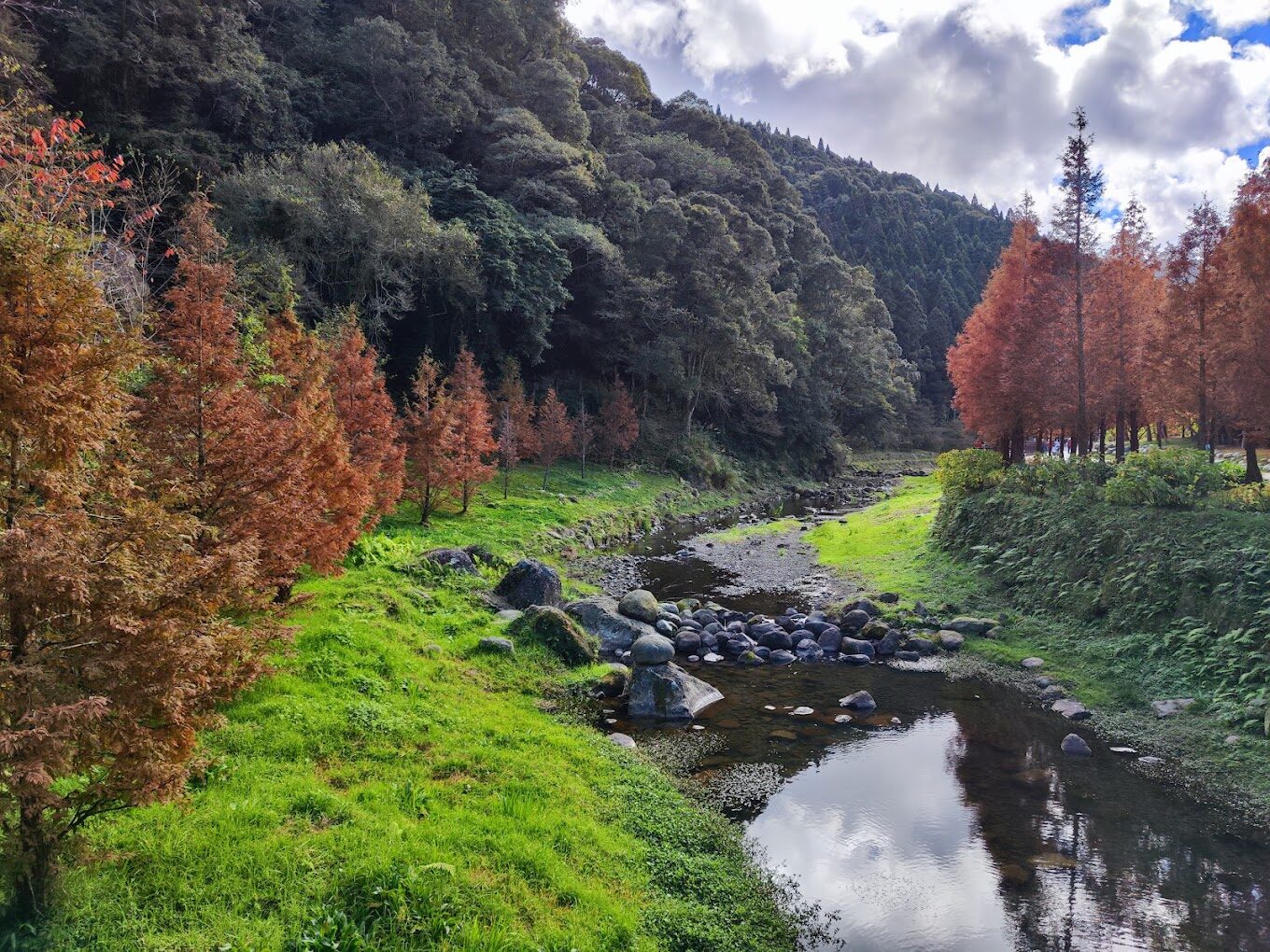 杉林溪花季時間表：最佳賞花時節指南