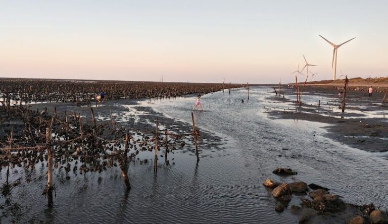 彰化王功漁港必遊景點推薦