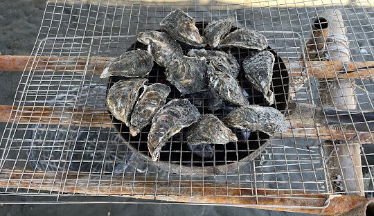 王功潮汐時間與生態旅遊指南