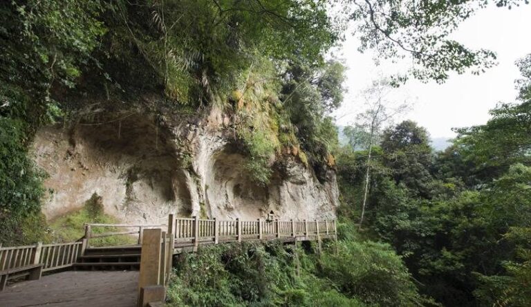 杉林溪營業時間與票價詳情