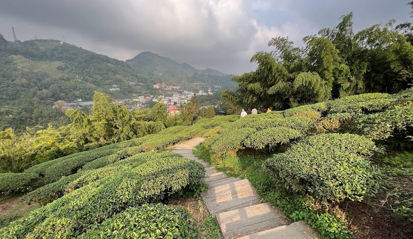 梅山太平雲梯旅遊指南：探索嘉義的天空步道