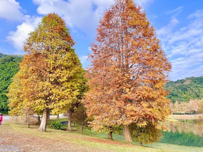 宜蘭私房景點大公開：避開人潮的秘境之旅