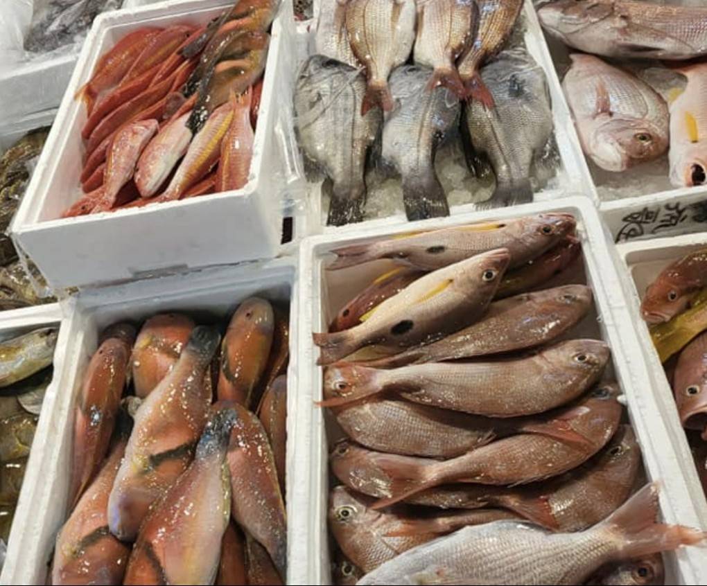 天母生魚片哪裡吃？美食控激推的七海食堂必吃攻略！