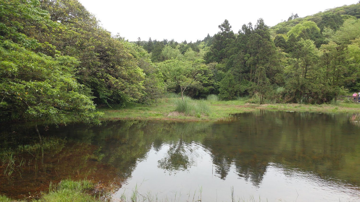 【2025】探索陽明山景點：絕不容錯過的5大自然奇觀