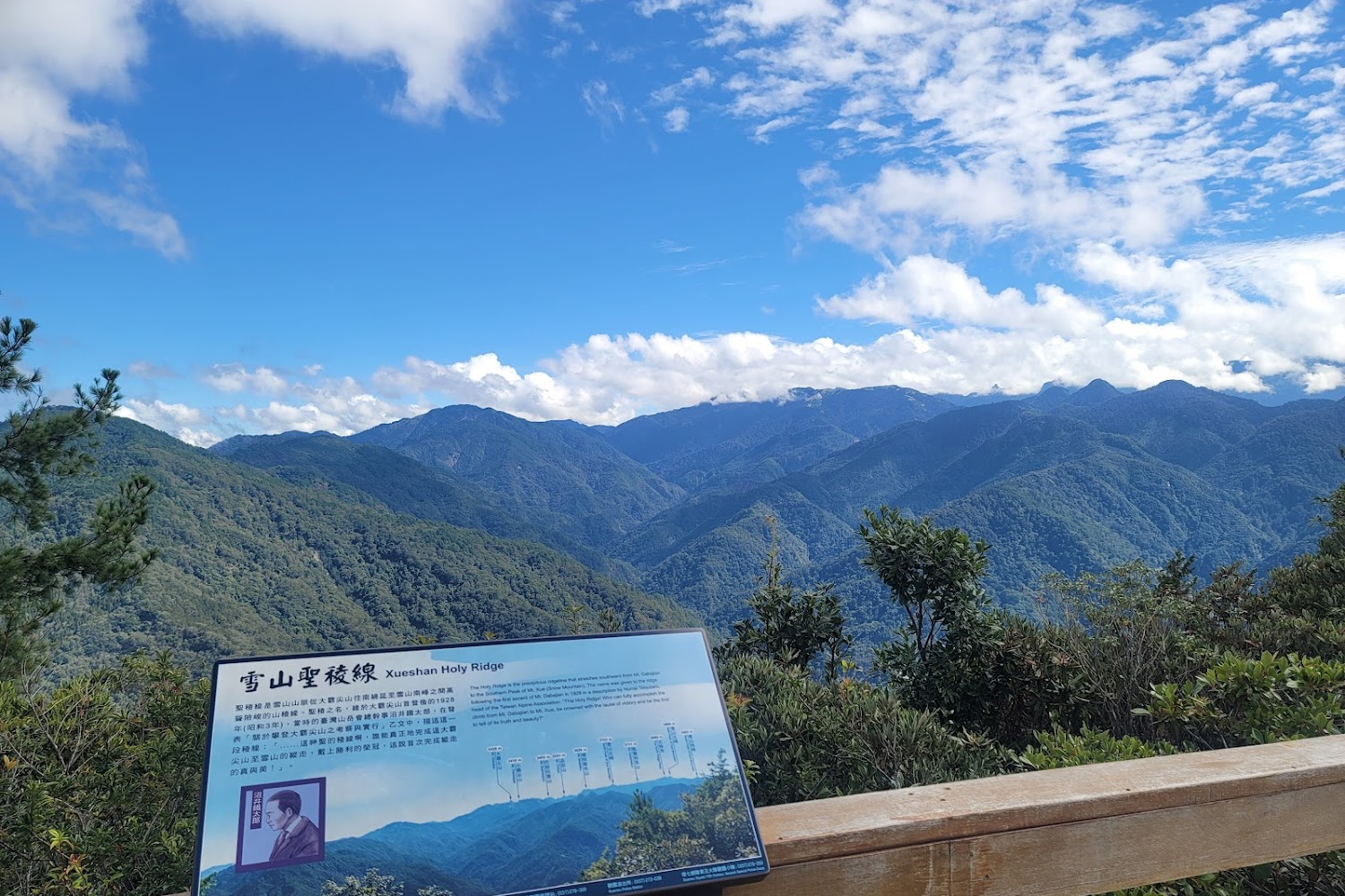 三灣落羽松魅力全攻略｜旅遊必備6個拍照技巧