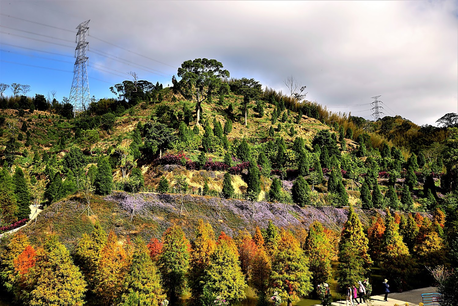 【2025】飛牛牧場附近必訪景點｜家人與孩童的完美一日遊攻略