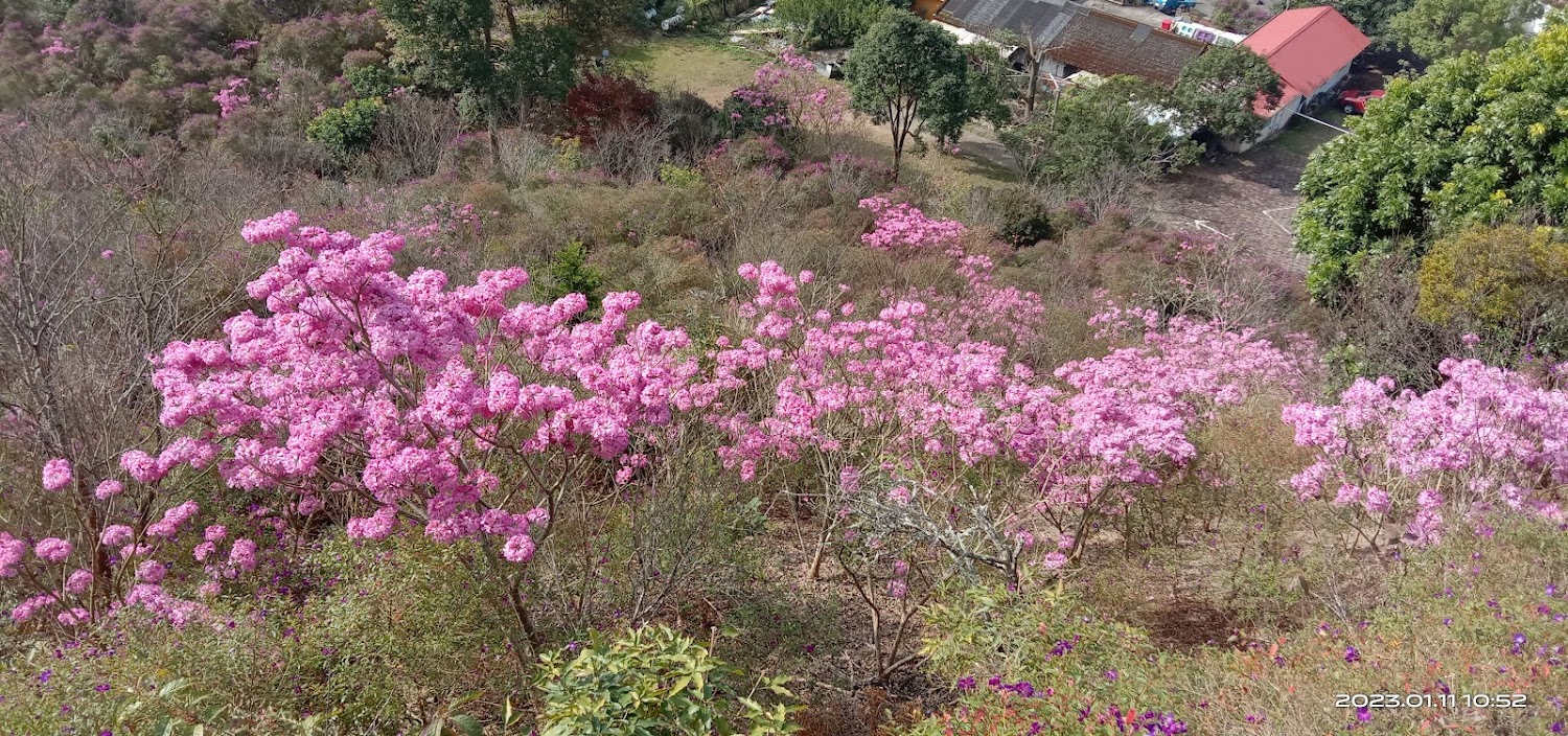 梅嶺風景區必去的5大理由｜錯過就後悔！