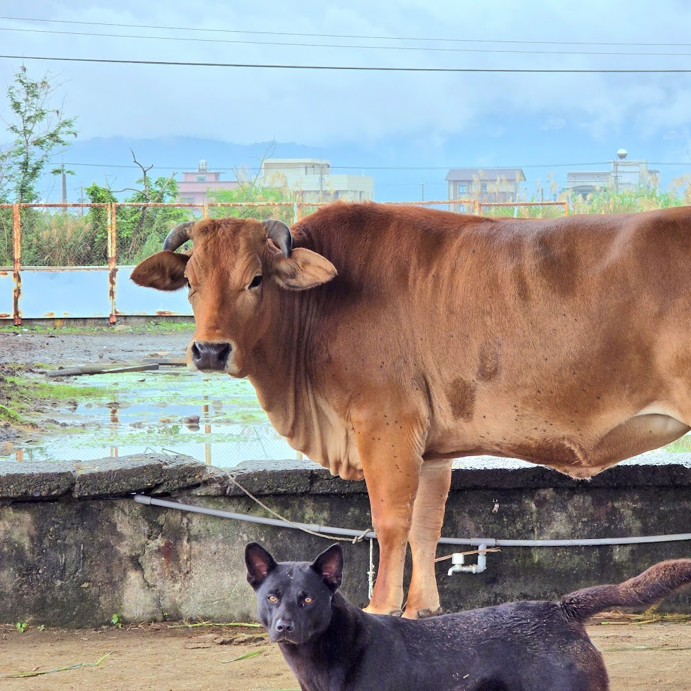 壯圍景點必去推薦：2025年不可錯過的5大秘境