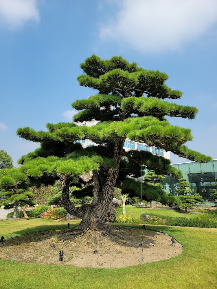 彰化景點必遊清單：你絕不能錯過的5大人氣景點