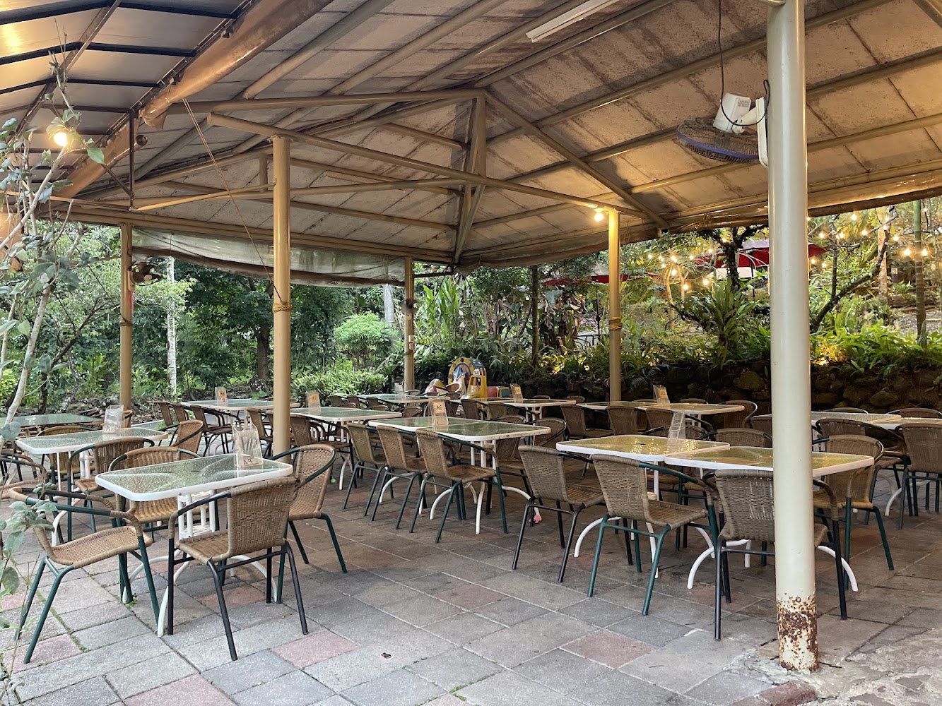 梅嶺風景區必去的5大理由｜錯過就後悔！