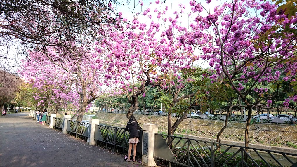 【2025】台中景點懶人包｜避坑必知的熱門去處