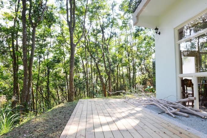 尋路苗栗綠波浪｜苗栗民宿/苗栗住宿/苗栗包棟/森林民宿