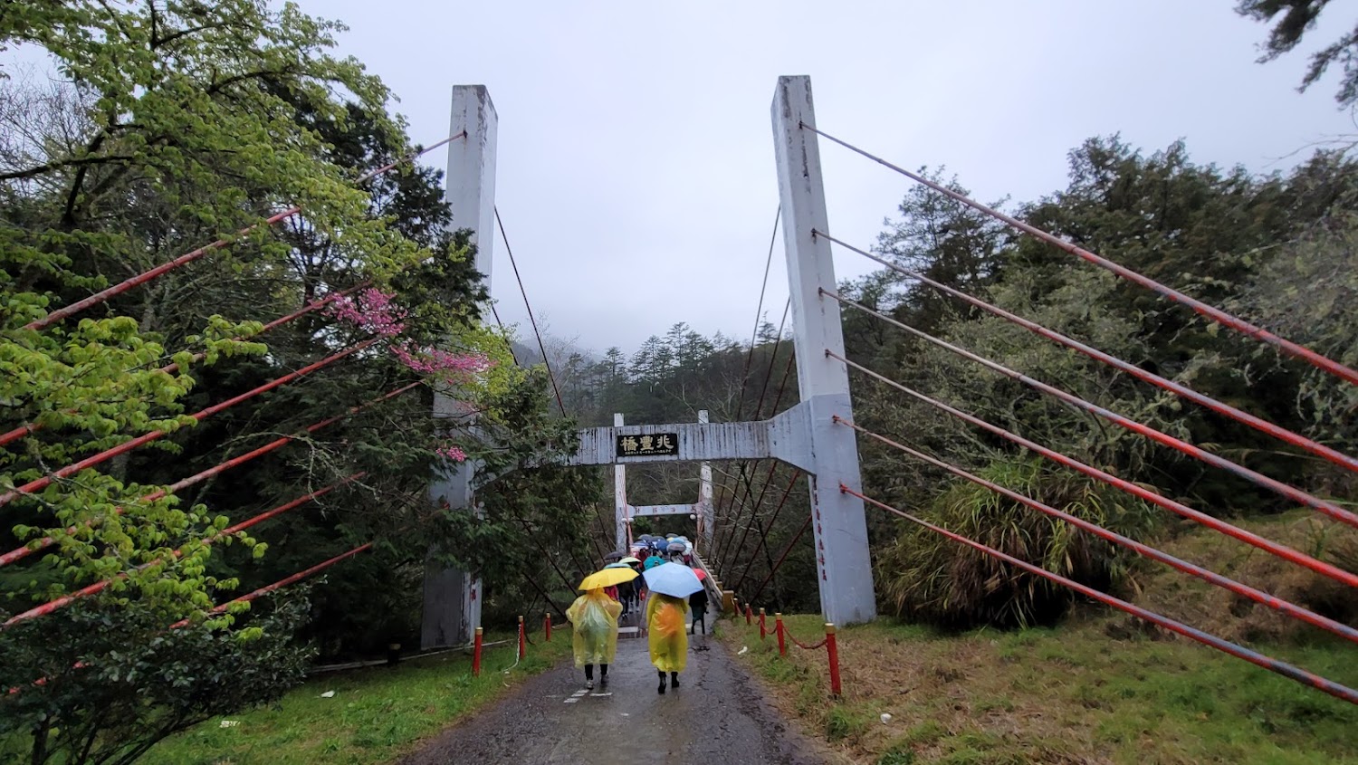 武陵農場兆豐橋