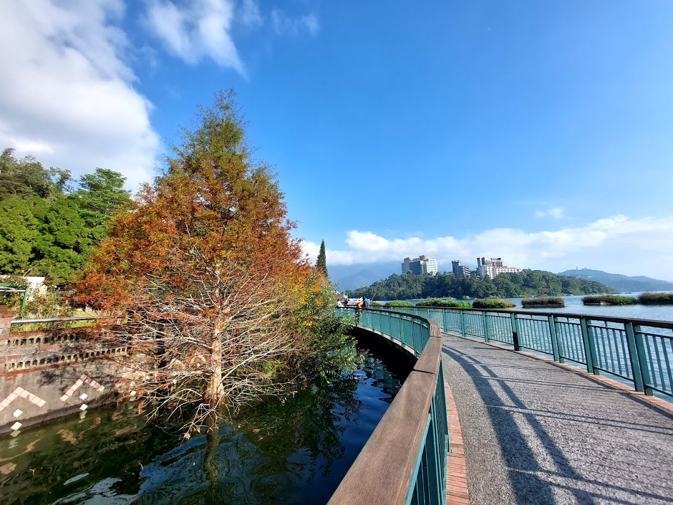 溪頭國家森林遊樂區旅遊懶人包｜5個必訪景點及在地美食推薦