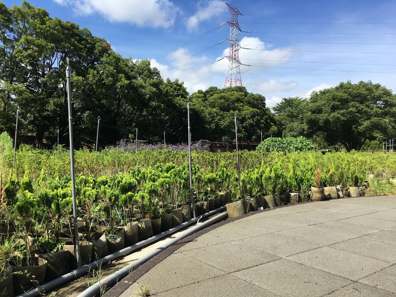 揭密桃園步道秘境｜5大必訪自然景點讓你驚嘆不已