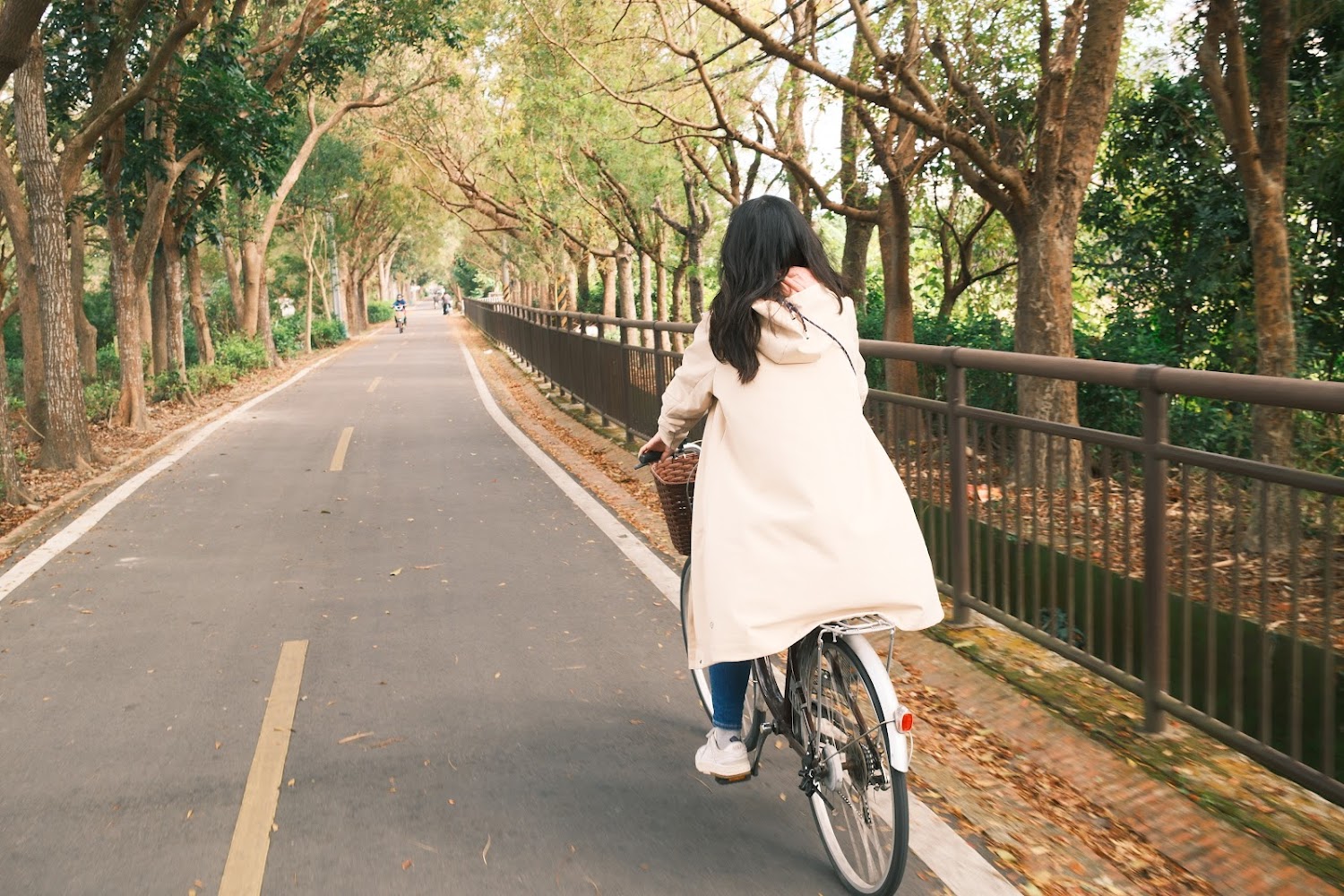 2025腳踏車步道：探索台灣最美的5條騎行路線