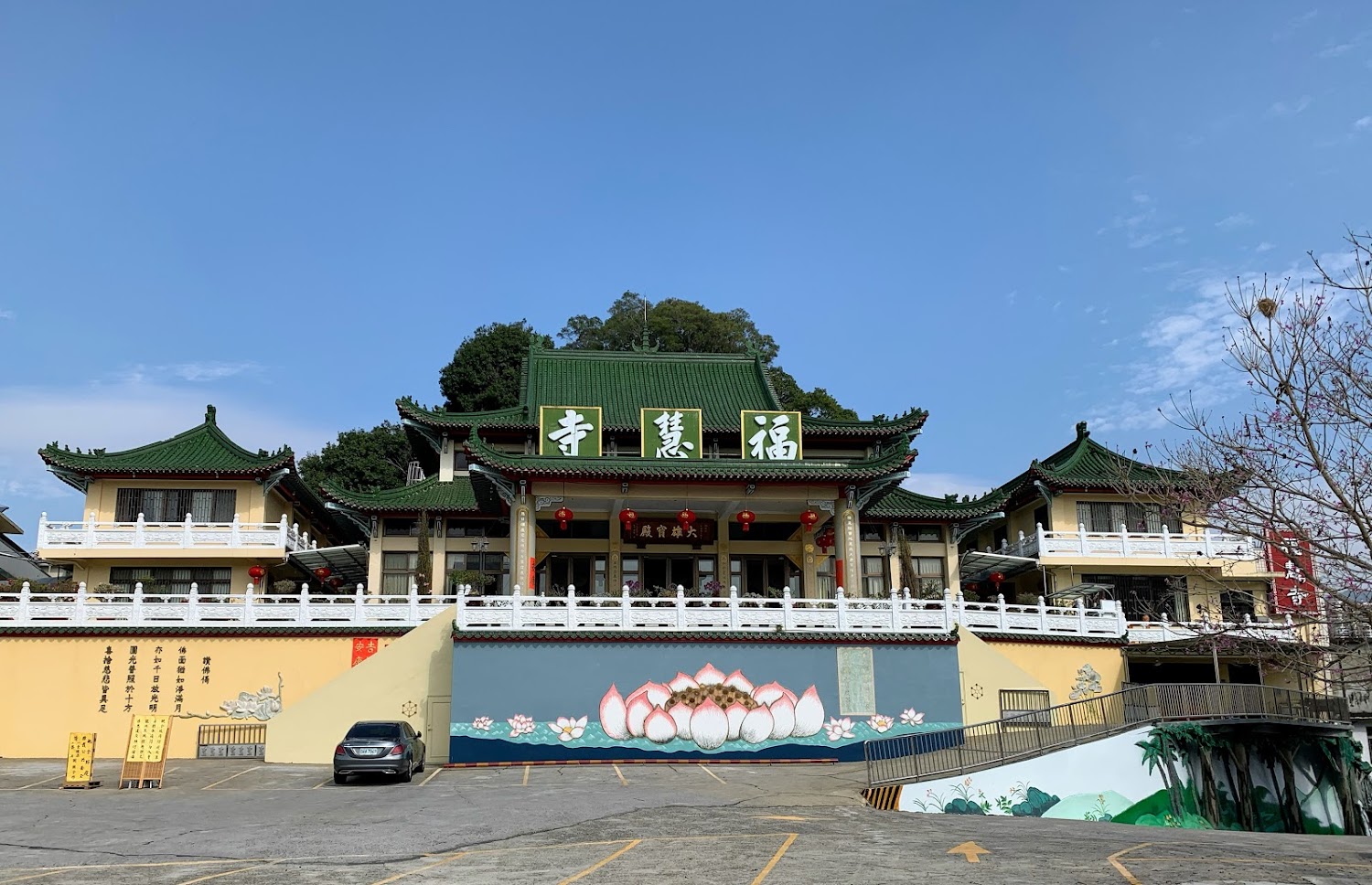 洋紅風鈴木、黃風鈴木旅遊指南：5個你絕不能錯過的秘境景點