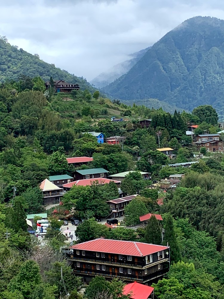 【2025】司馬庫斯旅遊攻略：必去景點推薦