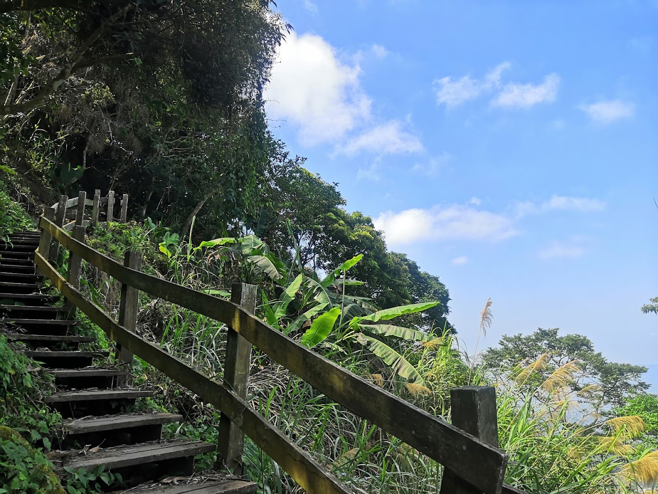 梅嶺旅遊必看：5個不容錯過的自然景點大揭密