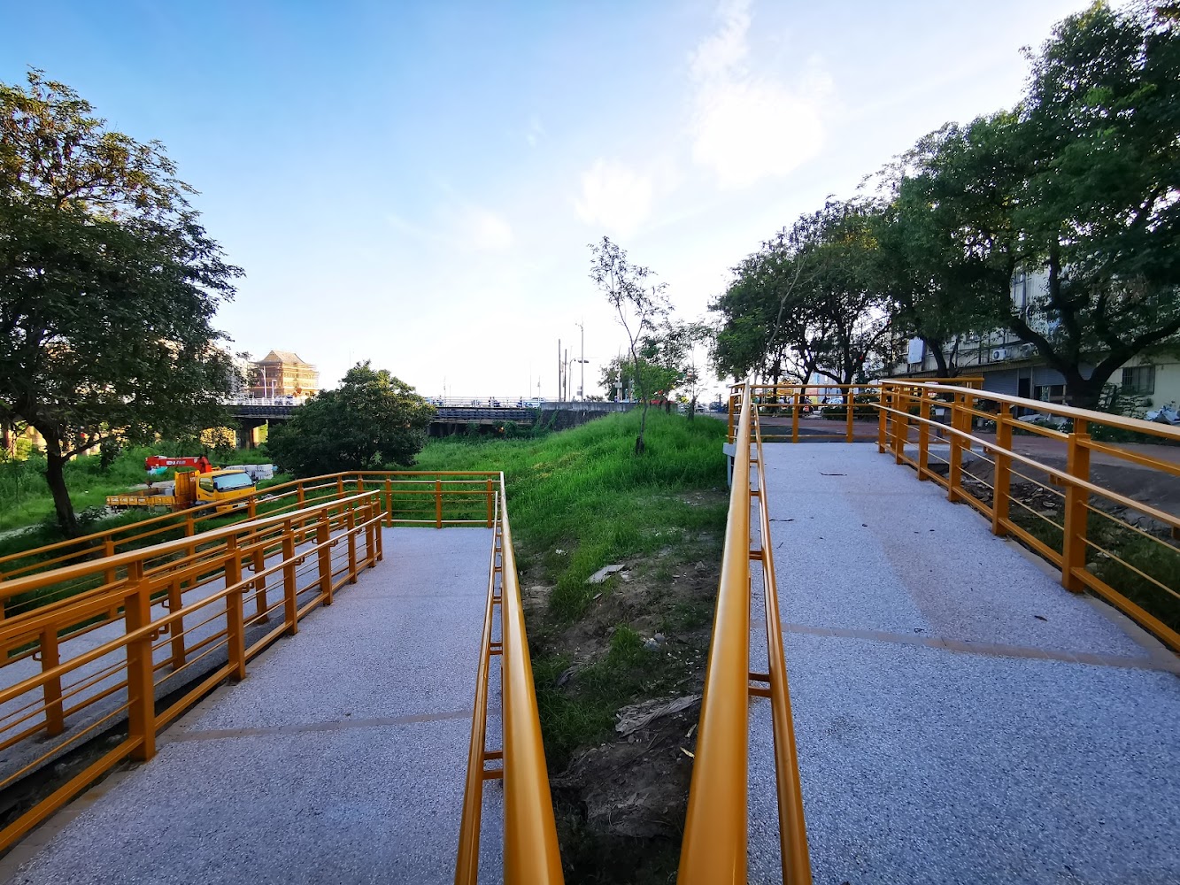 探索黃金風鈴木的5大賞花秘境｜2025旅遊指南