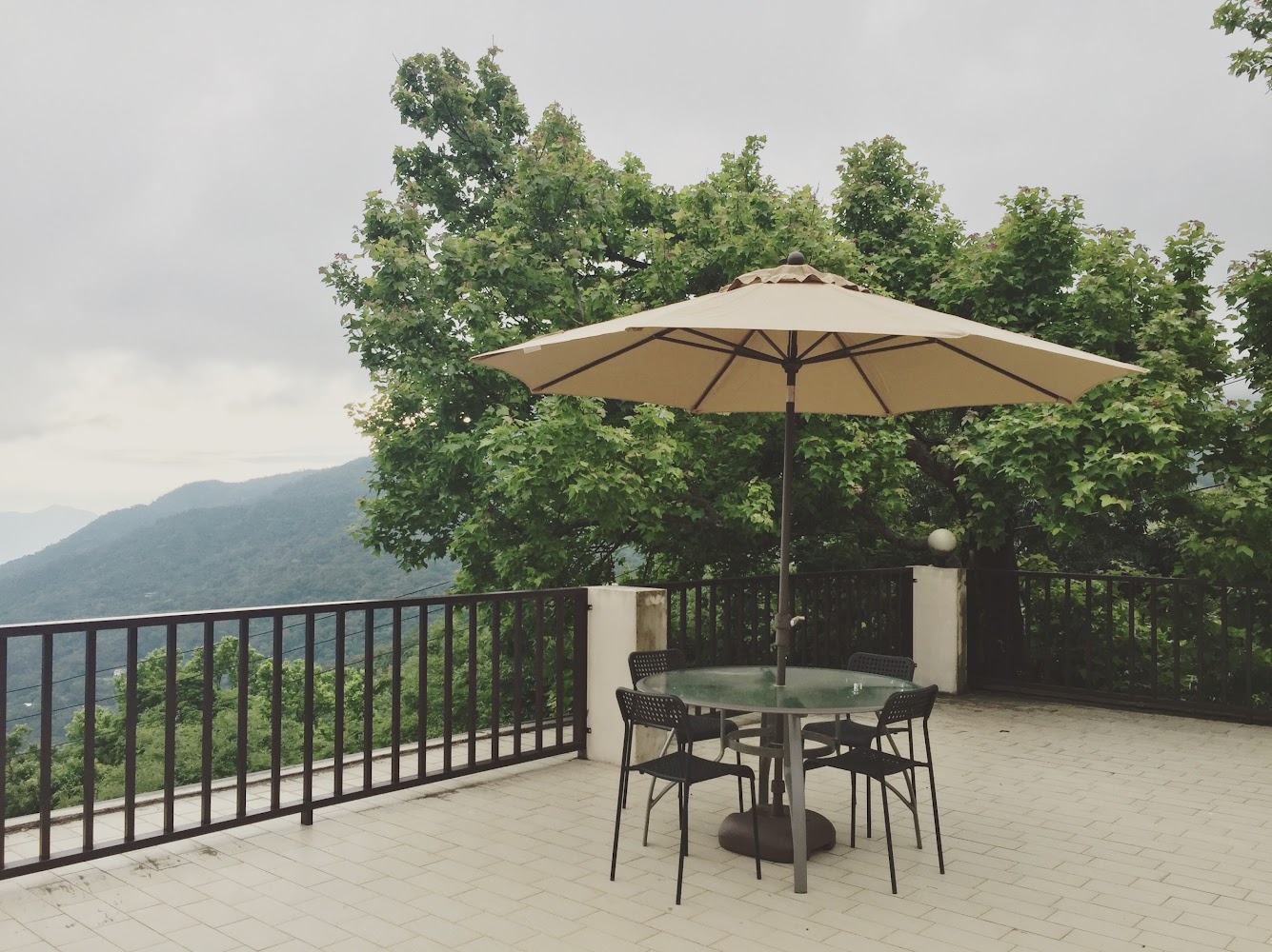 陽明山餐廳最新評價｜2025年你不可錯過的美食景點