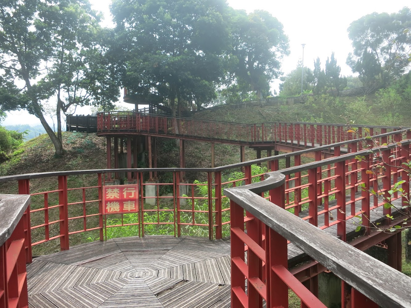 【2025】梅花季節｜必訪3大賞梅景點，不可錯過的美景