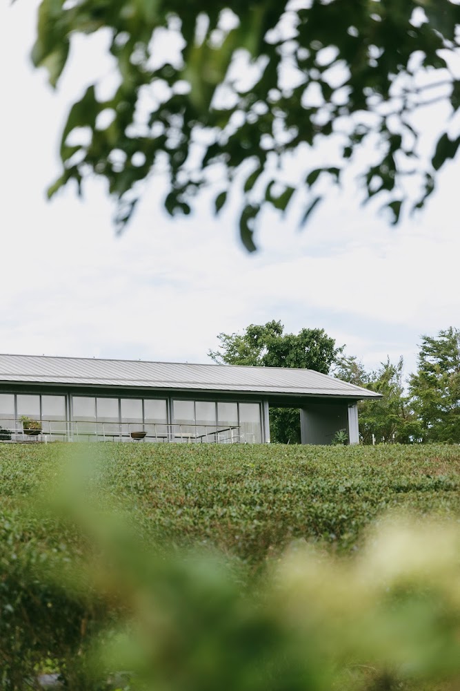 2025苗栗景點必訪清單|打卡熱點讓你流連忘返