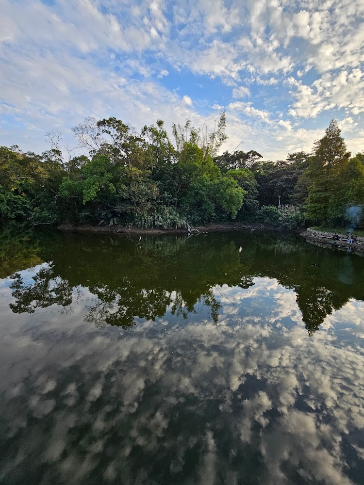 苗栗景點必去推薦｜你絕對不能錯過的迷人景點