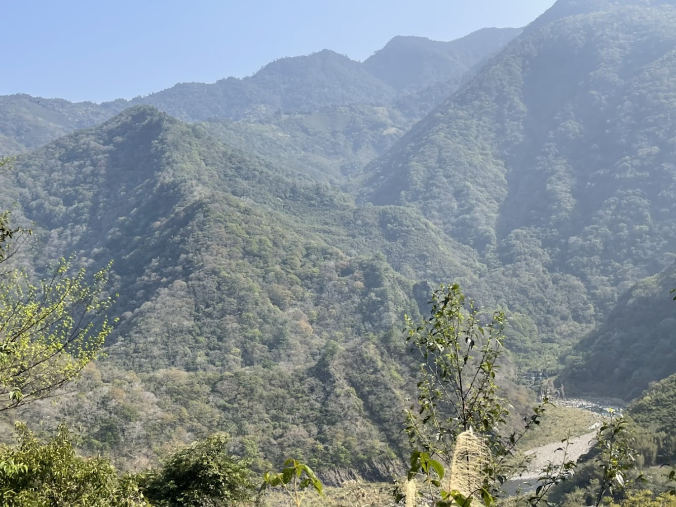 北橫管制指南｜旅遊高峰期的交通建議與注意事項