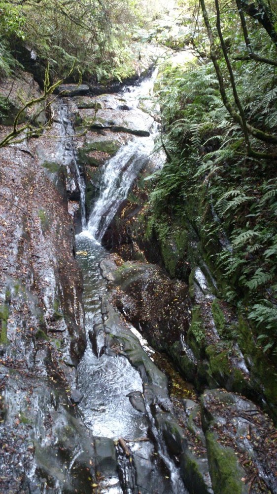 新竹秘境：你不知道的隱藏景點